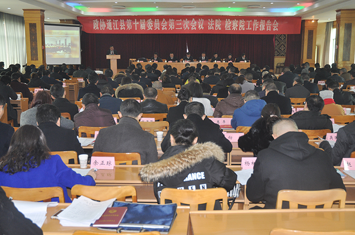 【县政协会】县政协十届三次会议举行第二次全体会议