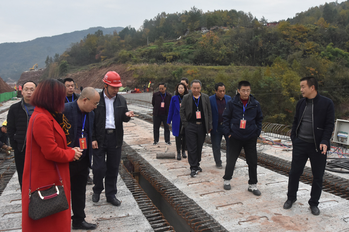 县政协委员视察基层法治文化建设