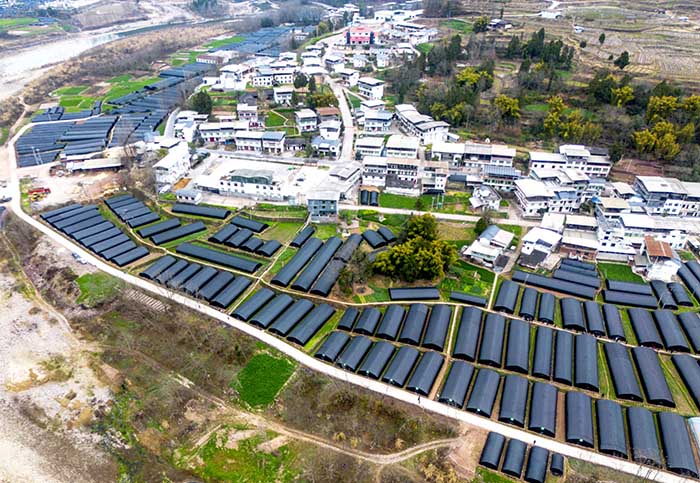 通江县政协激活民营经济助推乡村振兴